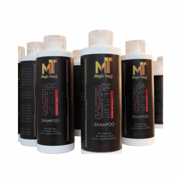SHAMPOO SIN SAL ALL IN 1